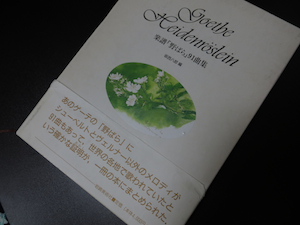 楽譜「野ばら」91曲集